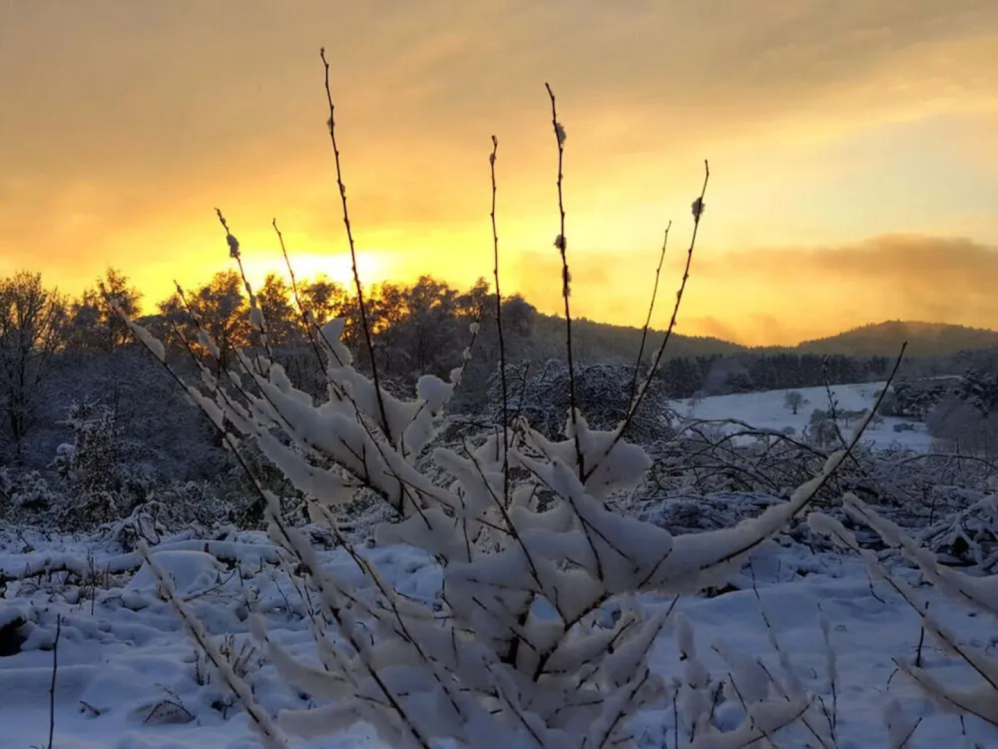 Ferieheisel - Everything, Except Usually!