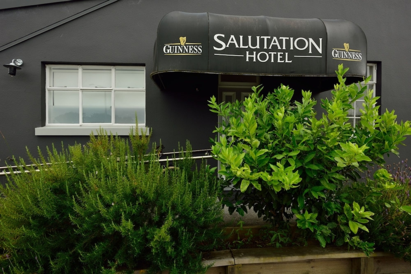 Peaceful and Central Studio in Thames