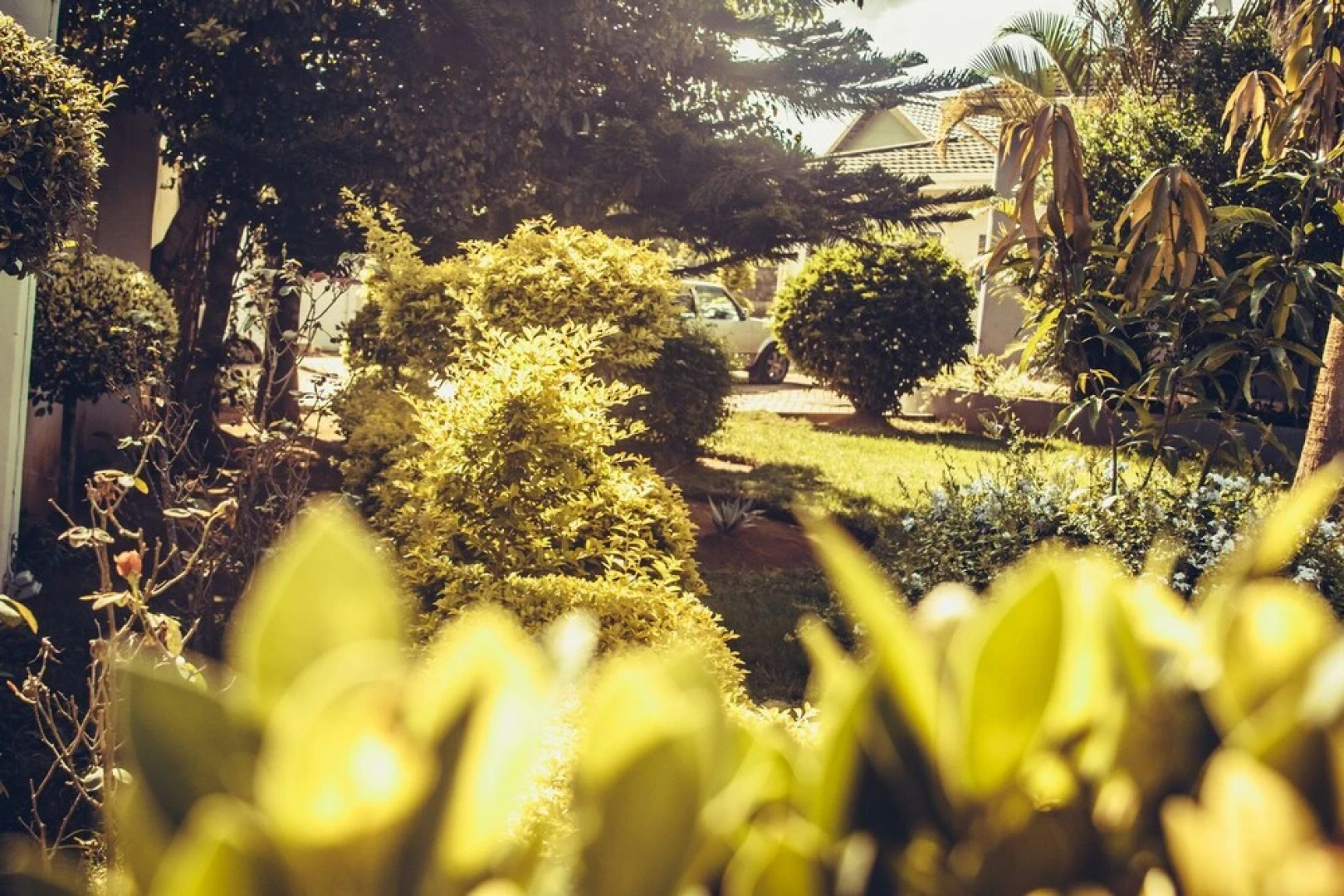 The Exclusive Joint Guest House