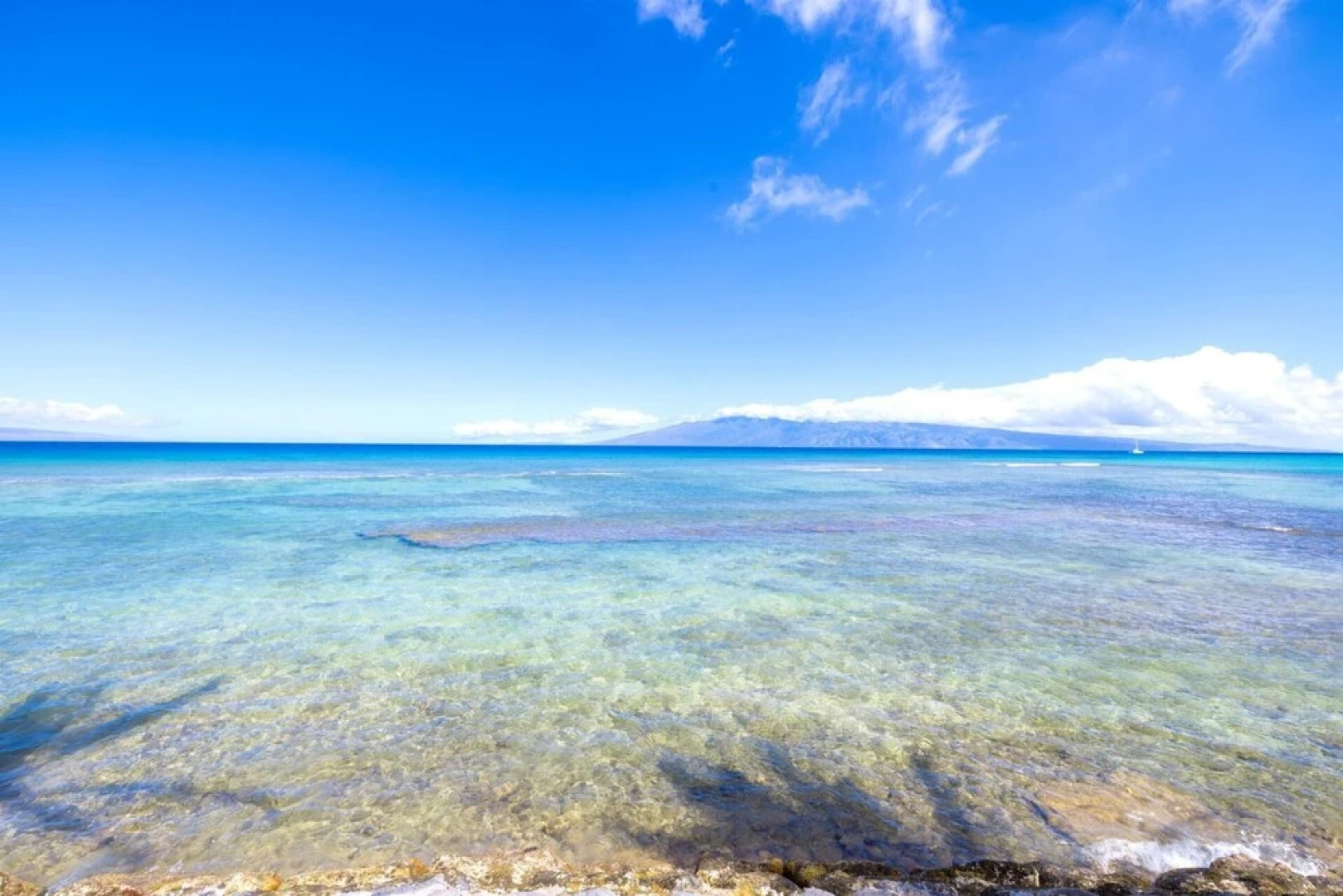 Lokelani #B203 - 2 Br condo by RedAwning