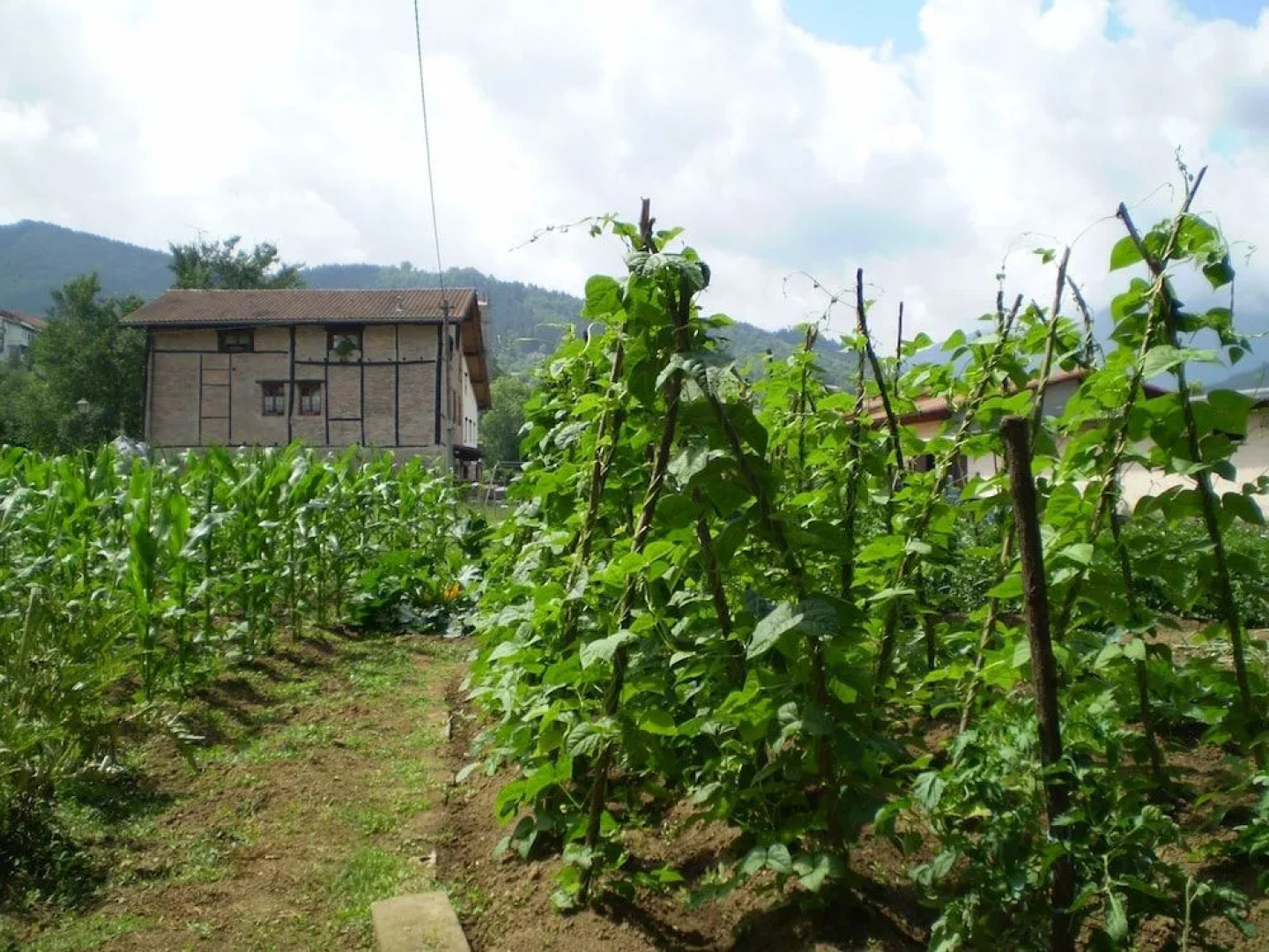 Agroturismo y apartamentos Ondarre