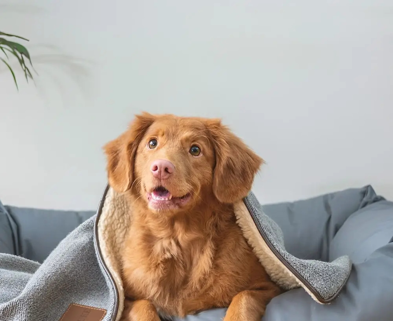 Best Western Stade Court Hotel