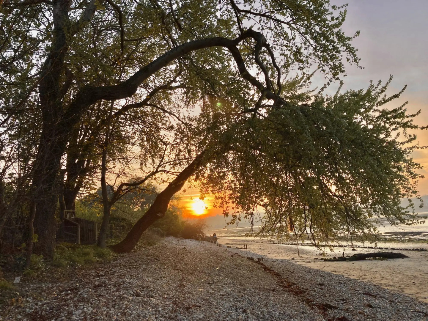 Blackberry Cottage in Bembridge
