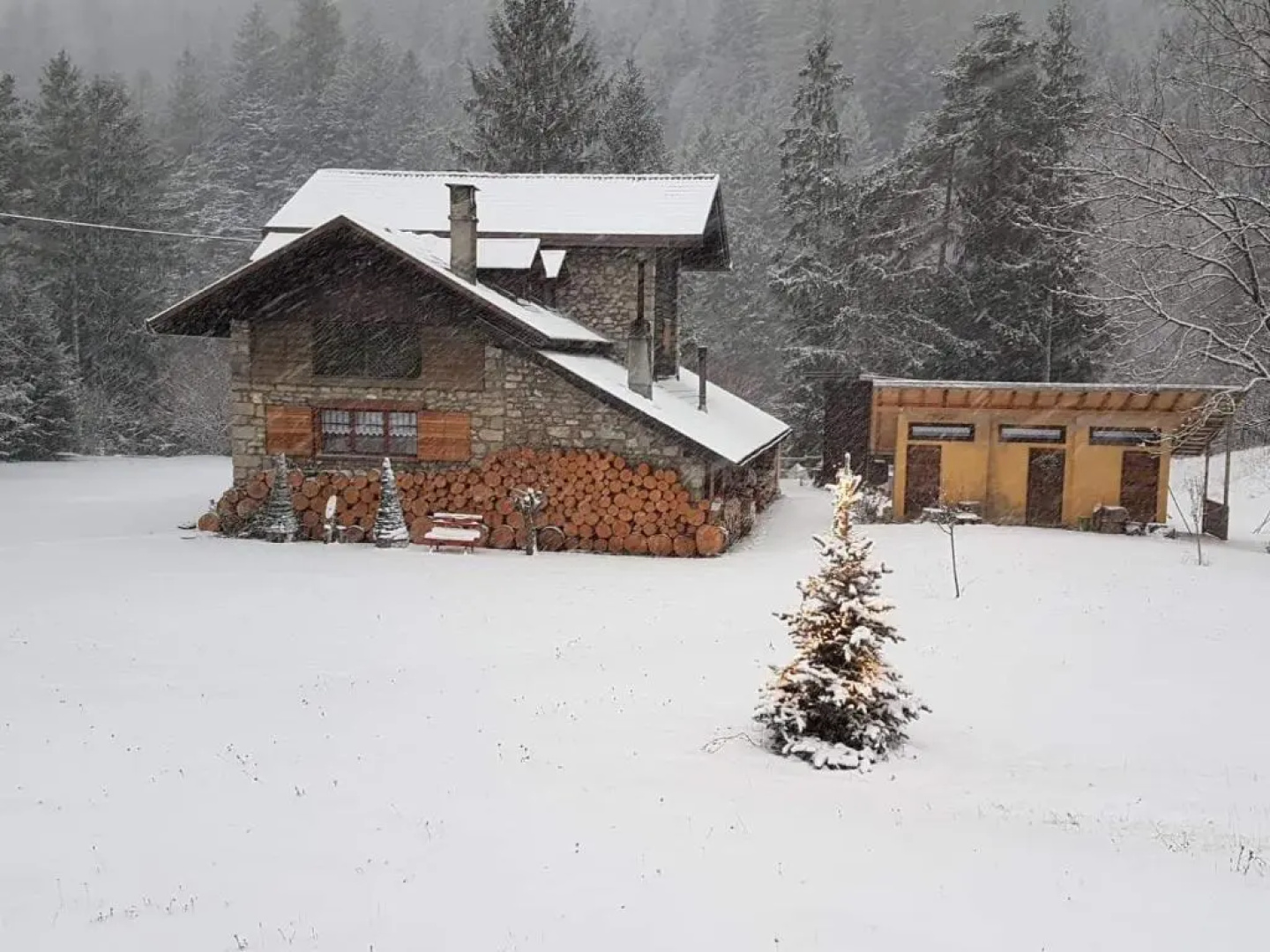 B&B Abete Bianco