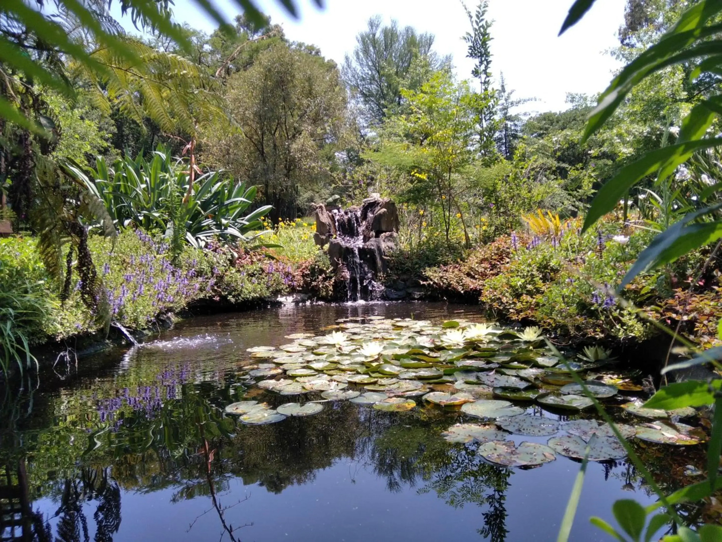 Ipe Tombe Guest Lodge