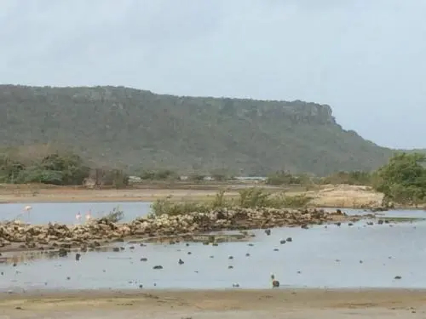 Flamingo Sunsets Apartment