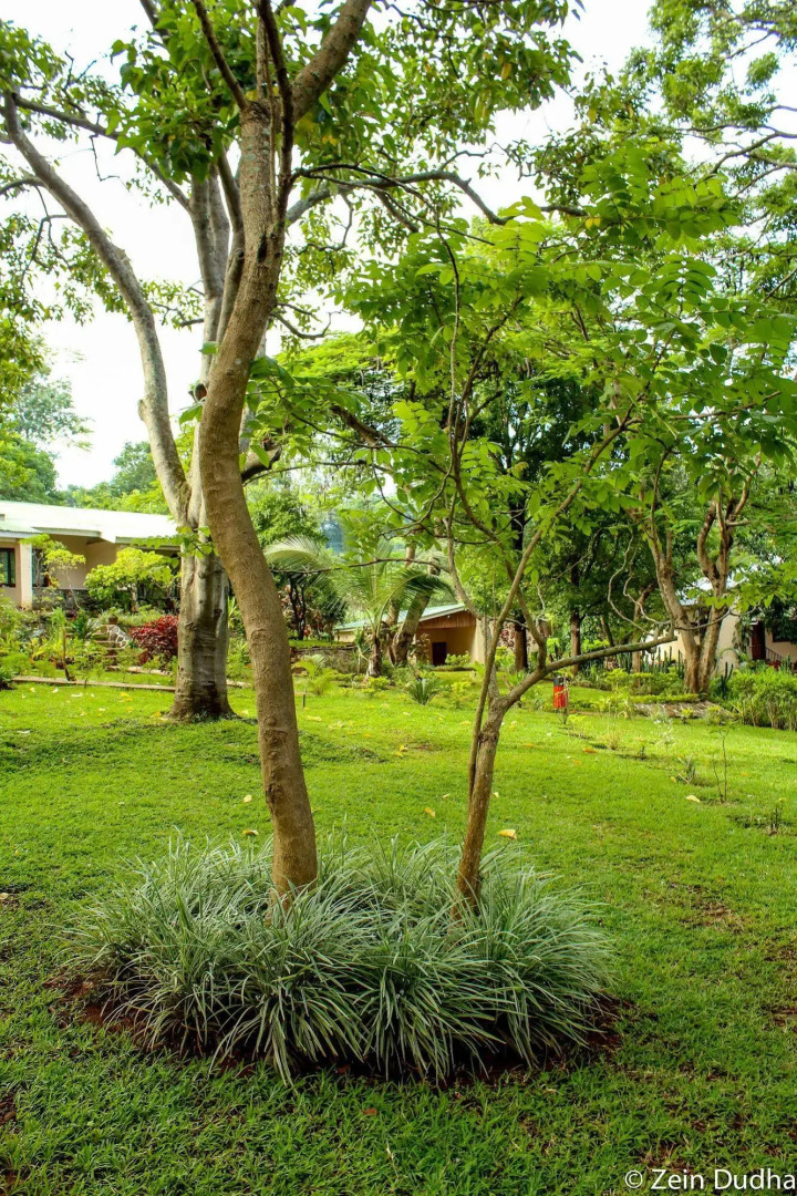 Villa 33