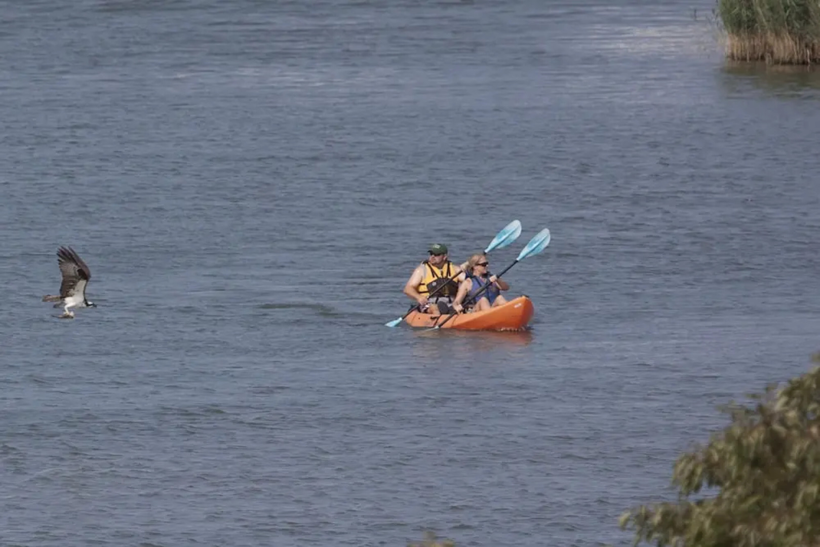 Knapps Narrows Marina & Inn