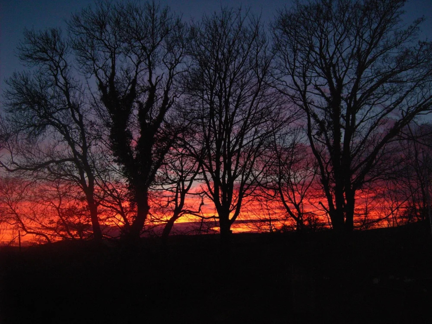 Coedllys Country House B&B