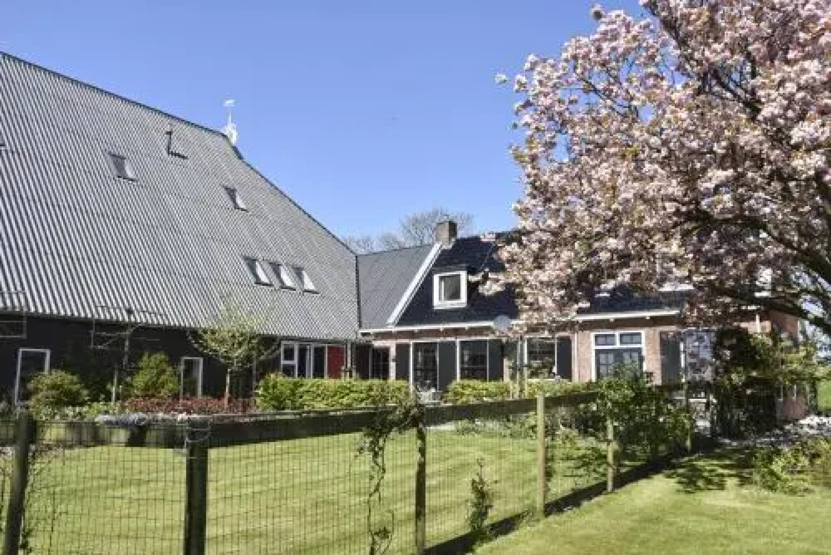 Bed & Breakfast Panamera