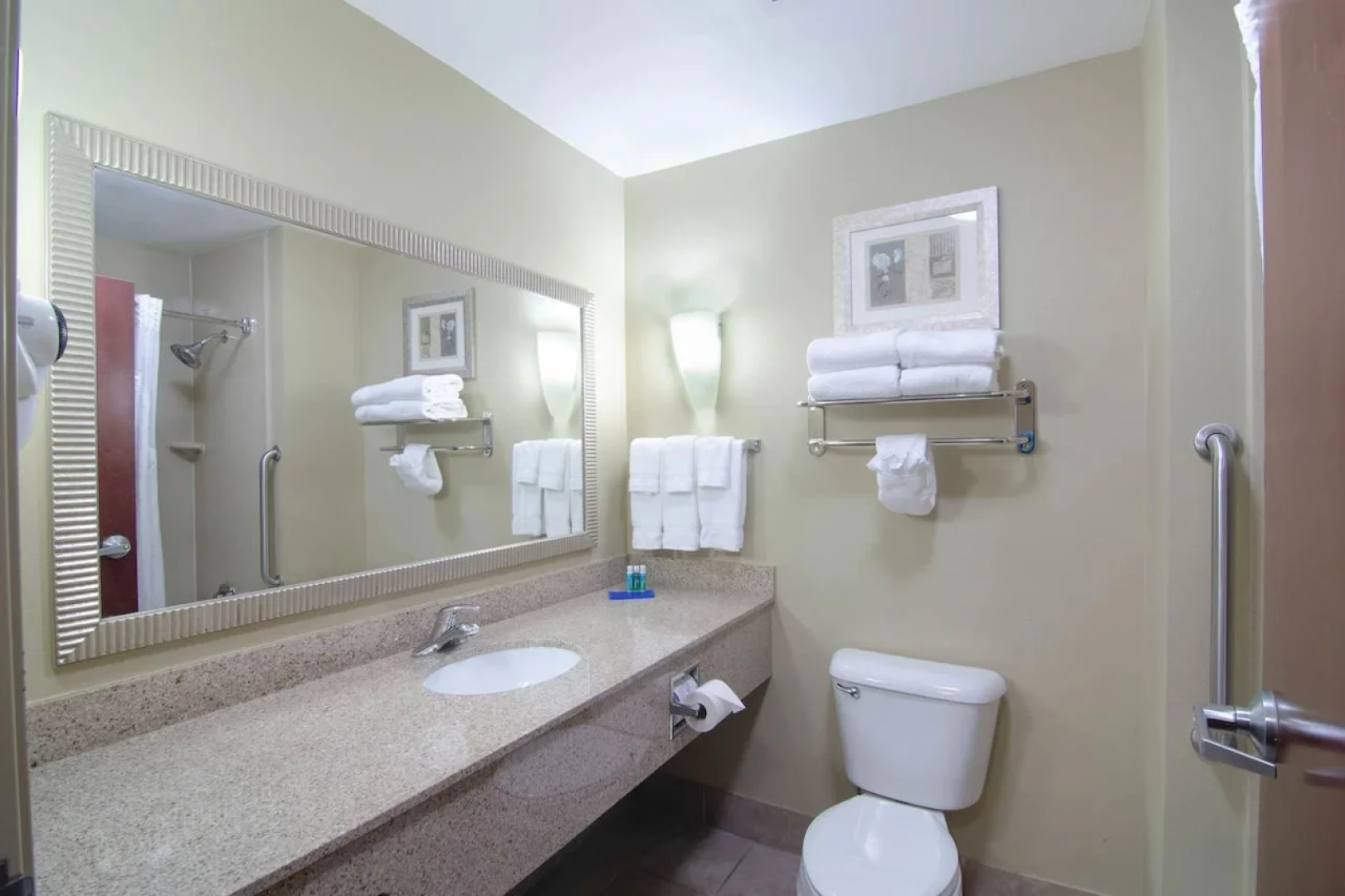 Comfort Suites Mobile-South Alabama University Area