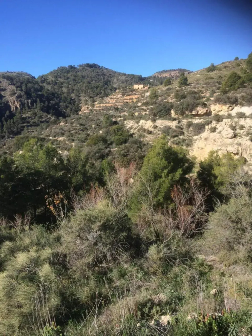 The Loft Cantoria - room with a view