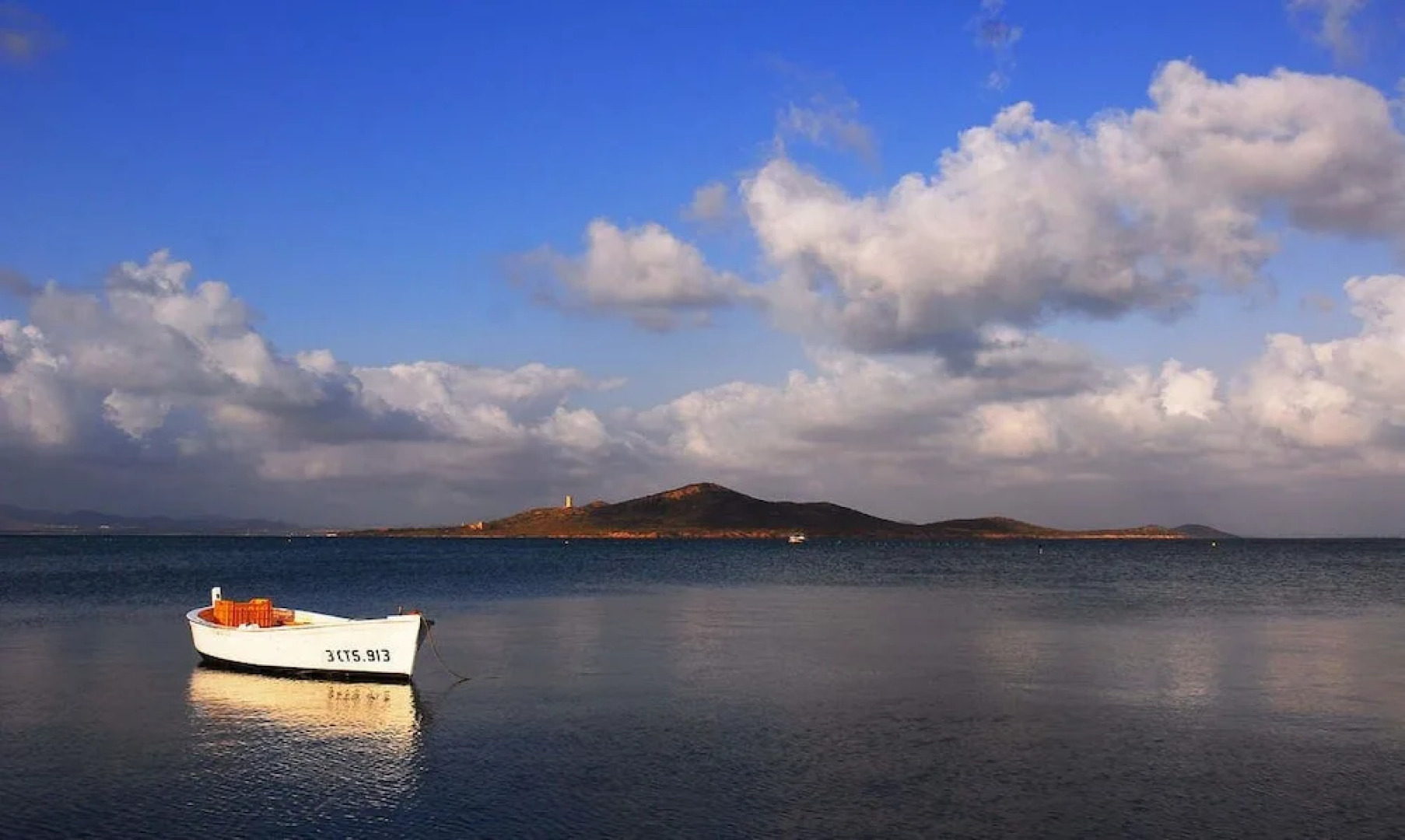 Inmovecos Las Palmeras T45