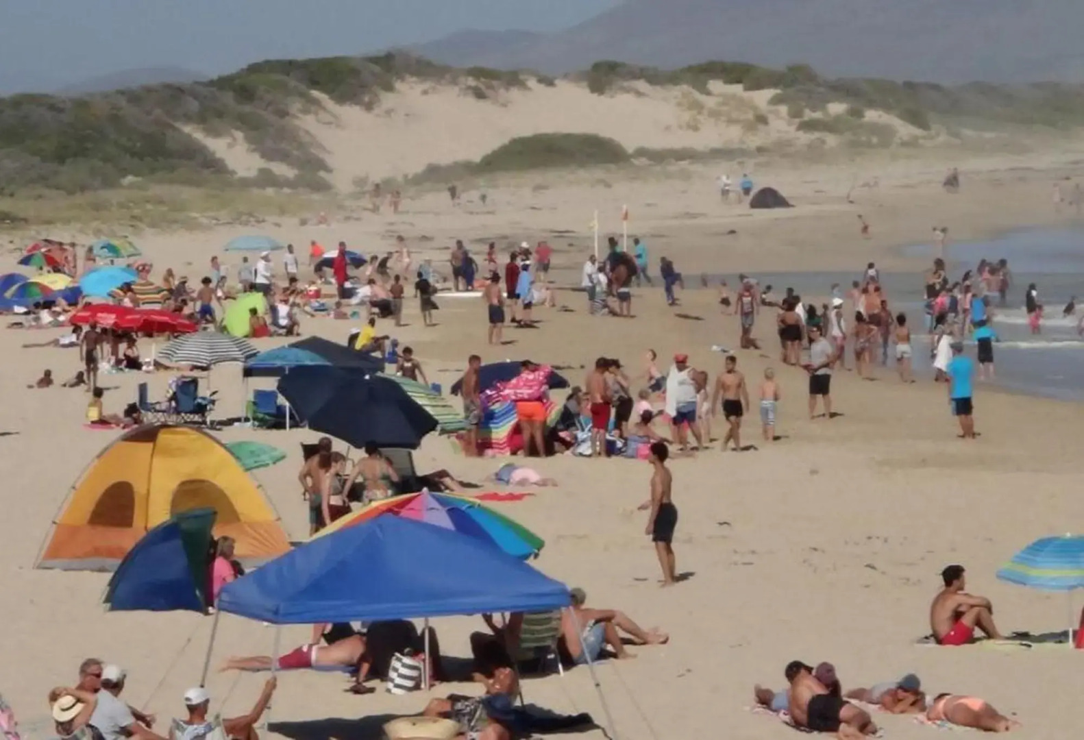 Alpaca Self Catering Cottage Kleinmond