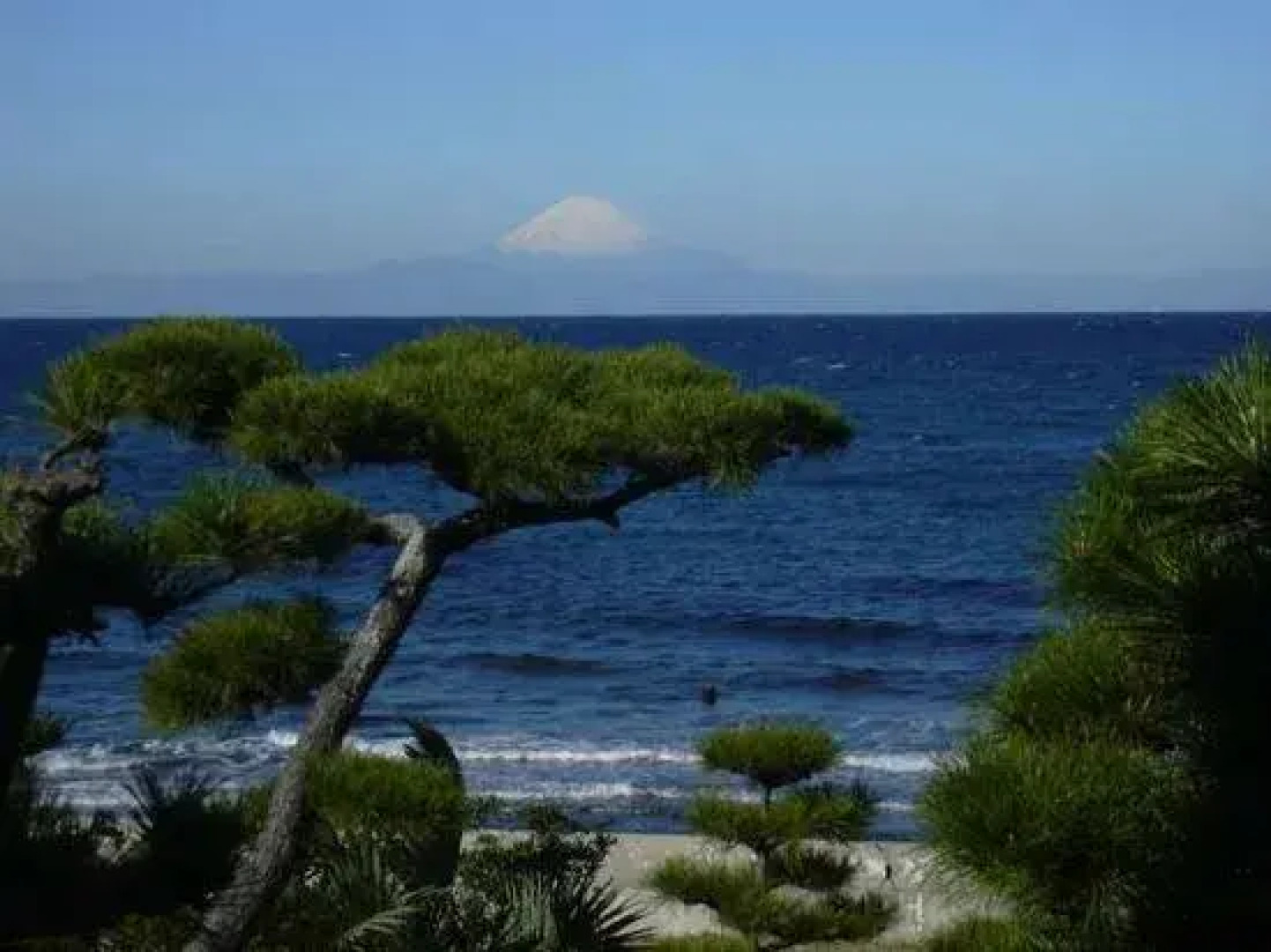 Tennen Onsen Ningyo no Yu Ryokan Kaikouzu