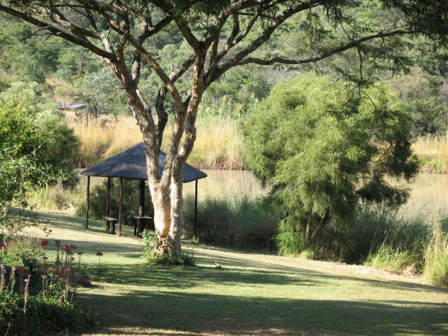 Bushman Rock Safaris