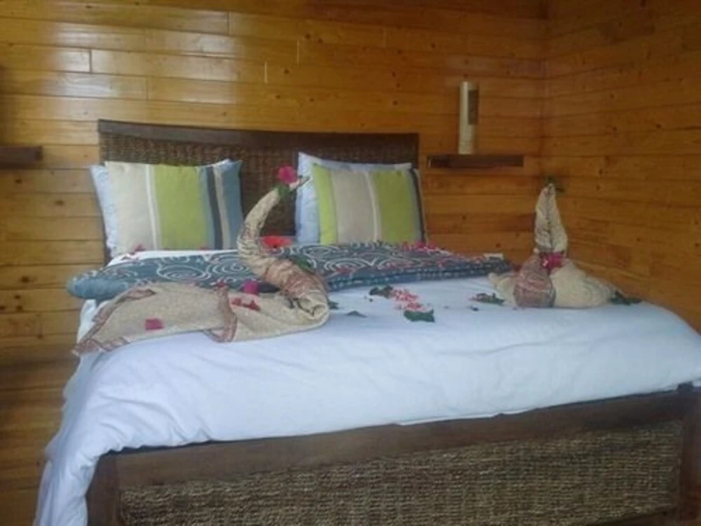 Ecolodge Dar Zitouna