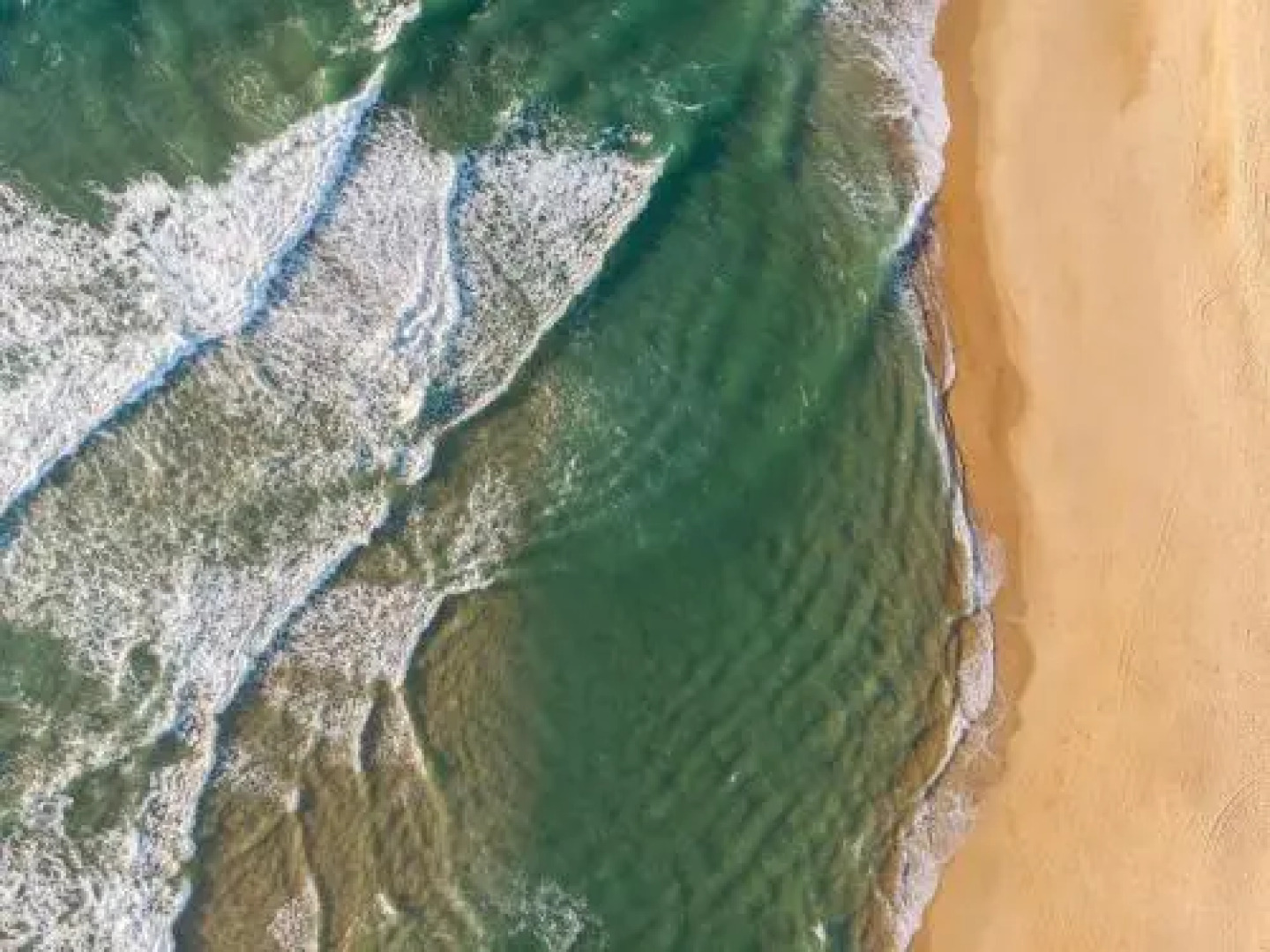 Villa de lEtang Blanc