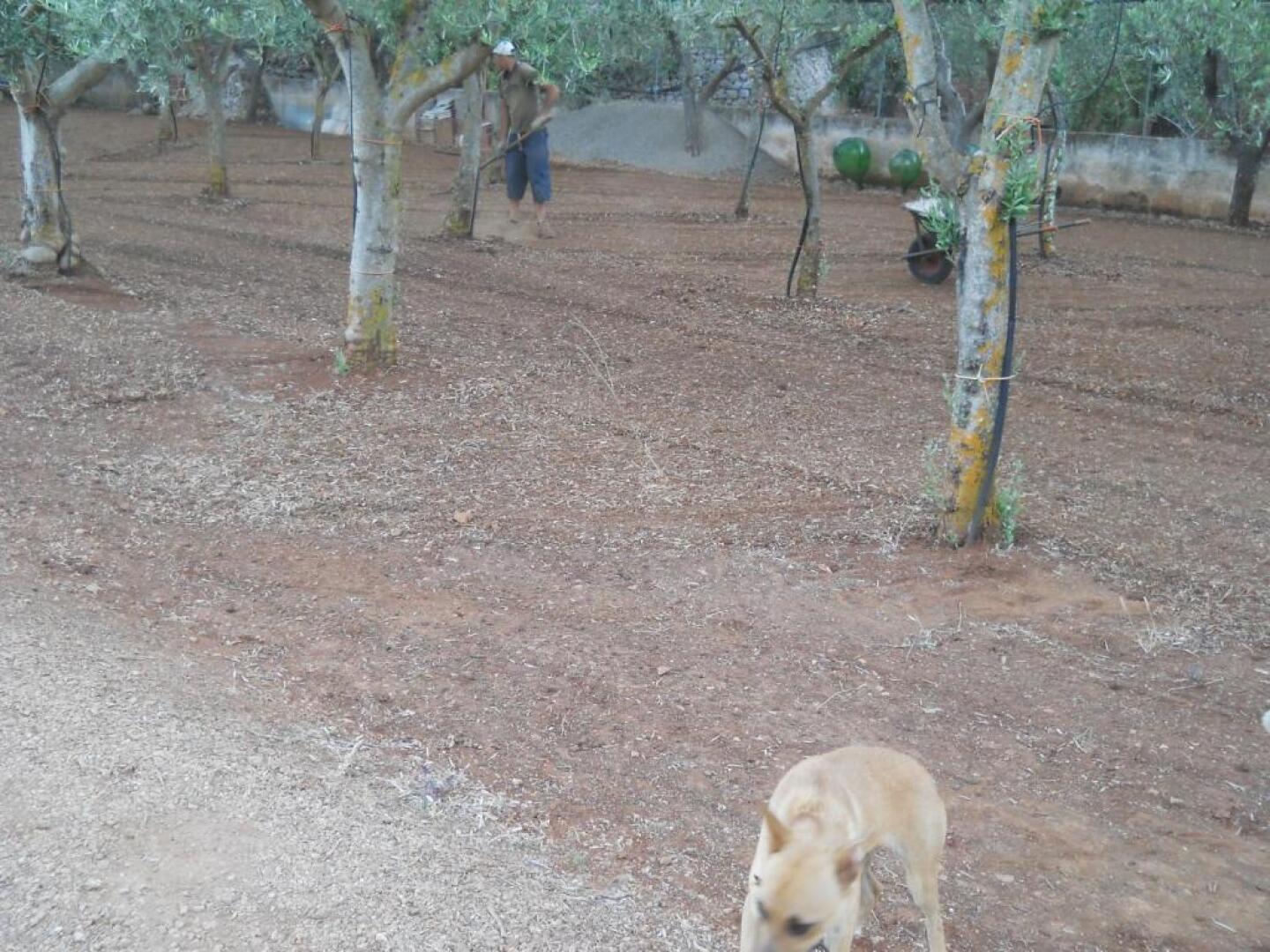 Villa Conte in Salento