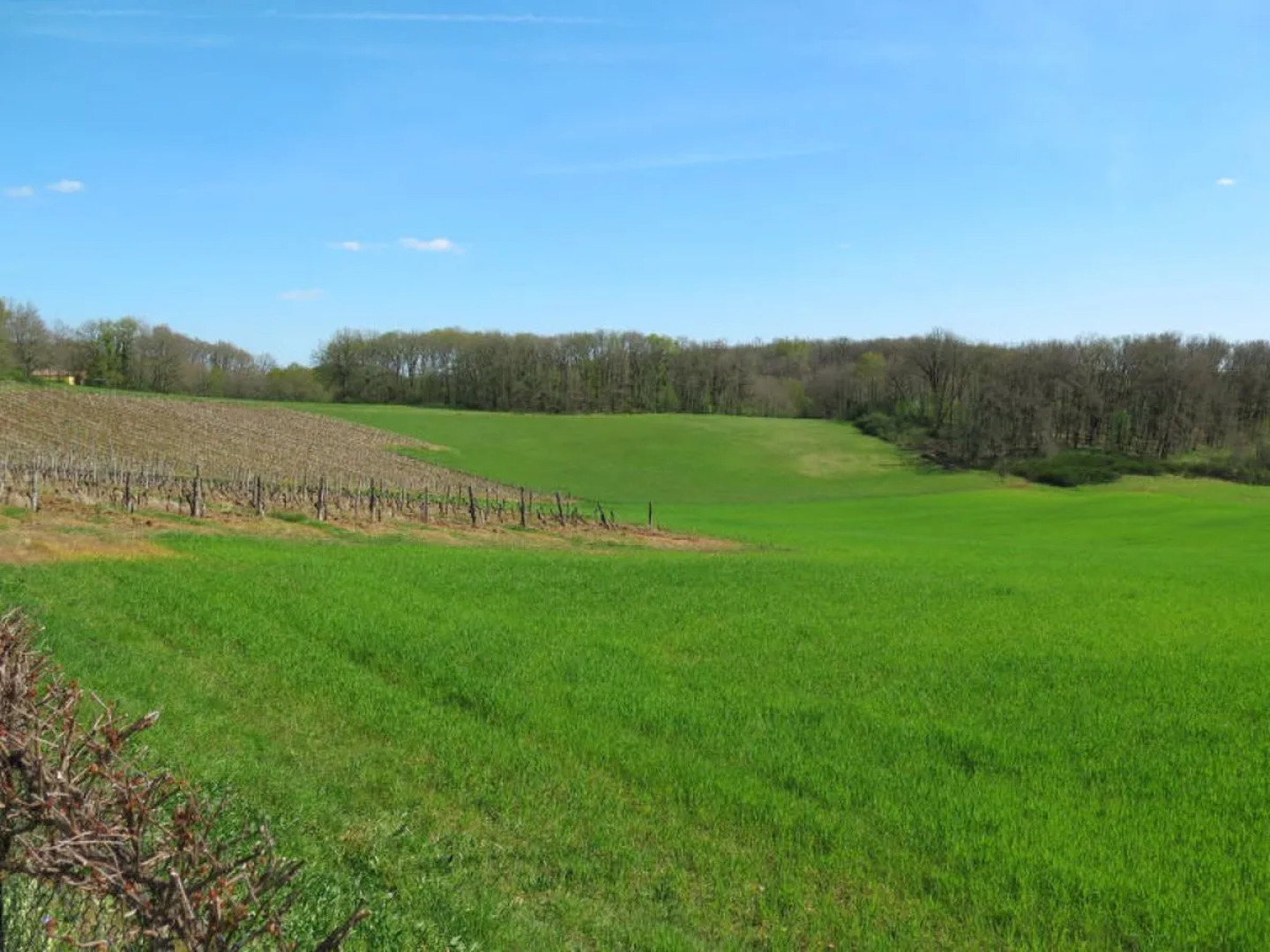 Le Mas de Serre (MEC400)