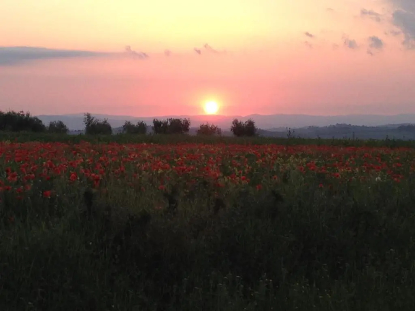 Agriturismo Il Macchione