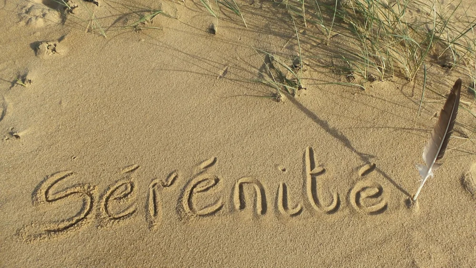 Chambre D'Hotes De La Presqu'ile