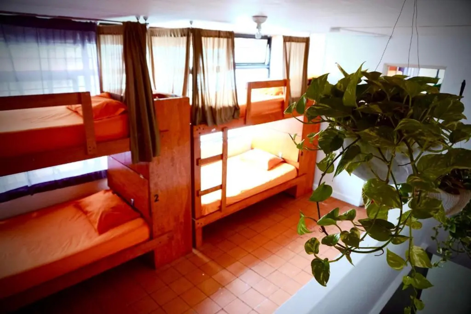 Blue Pepper Chapultepec