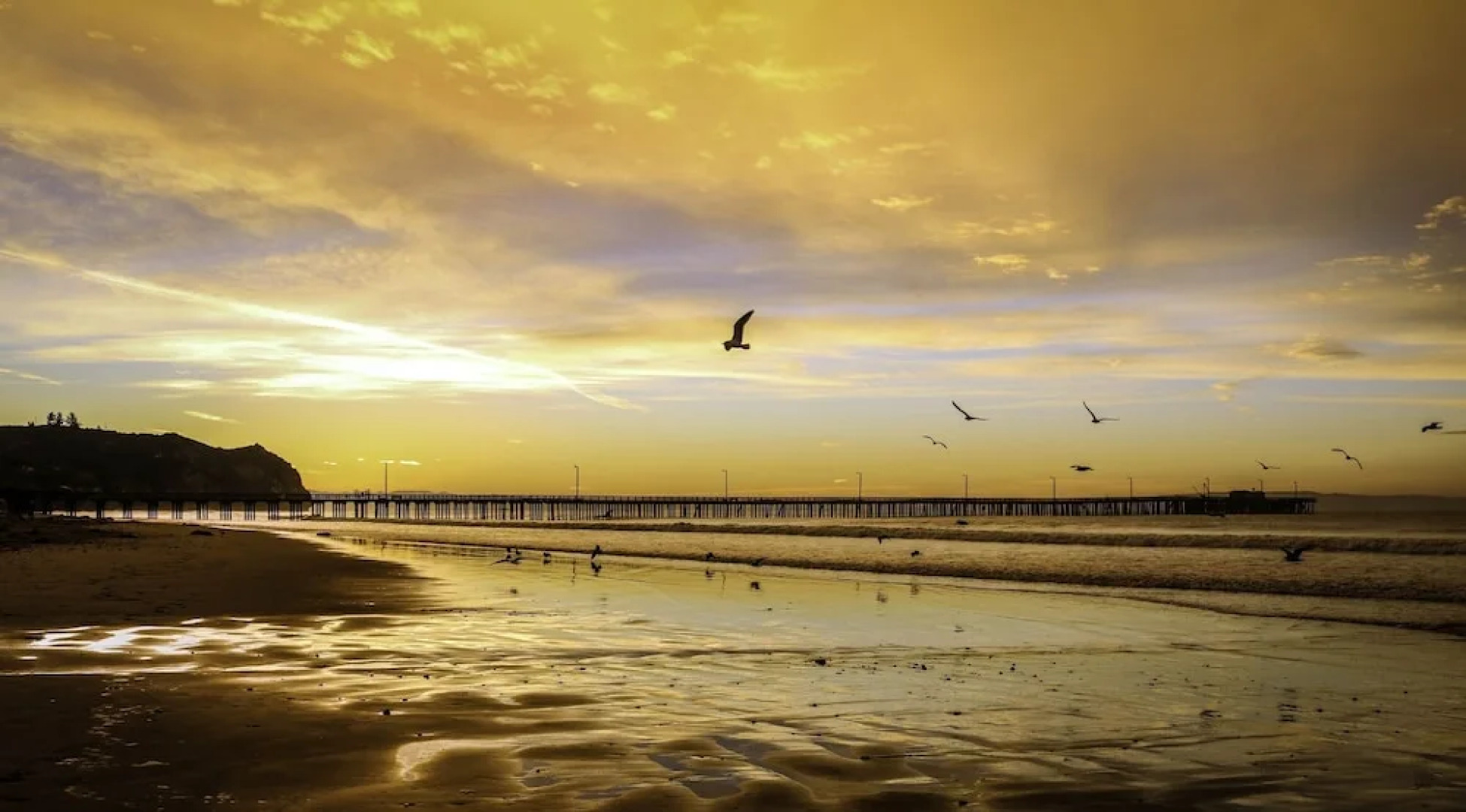 Private Cottage on Vineyard W/ Loft & Hill Views Cottage