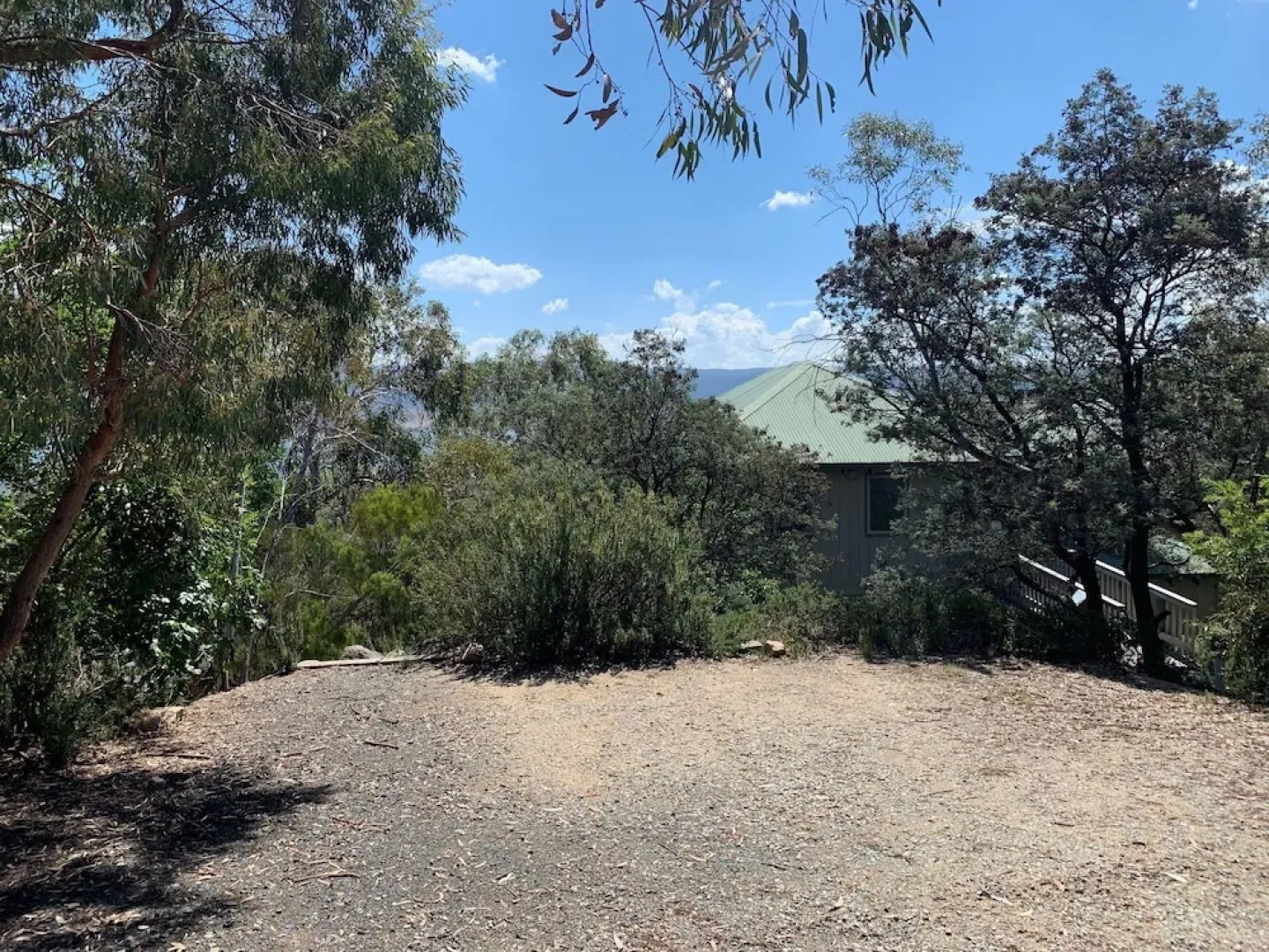 Snowgums on the Lake