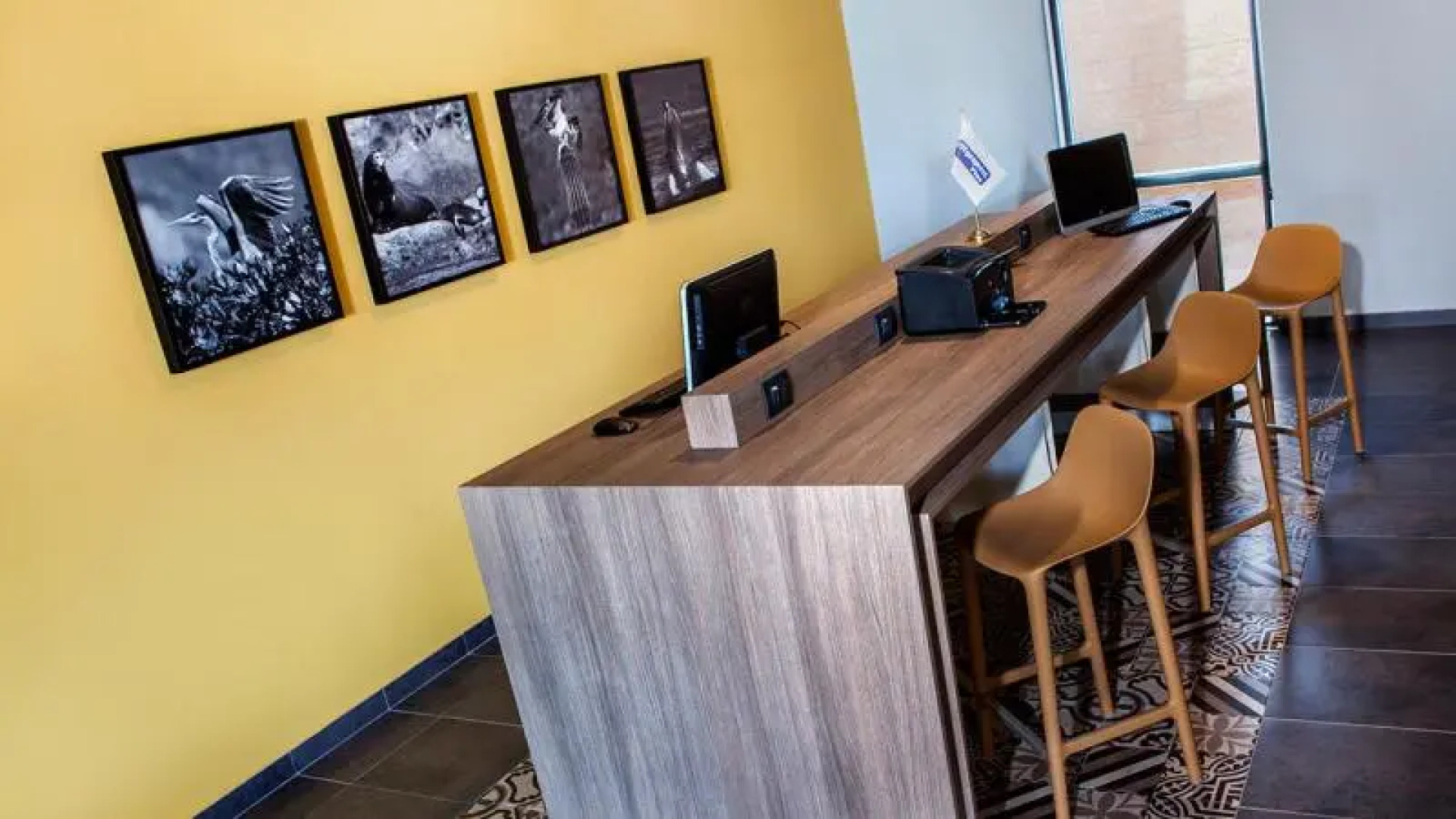 City Express Suites Cabo San Lucas