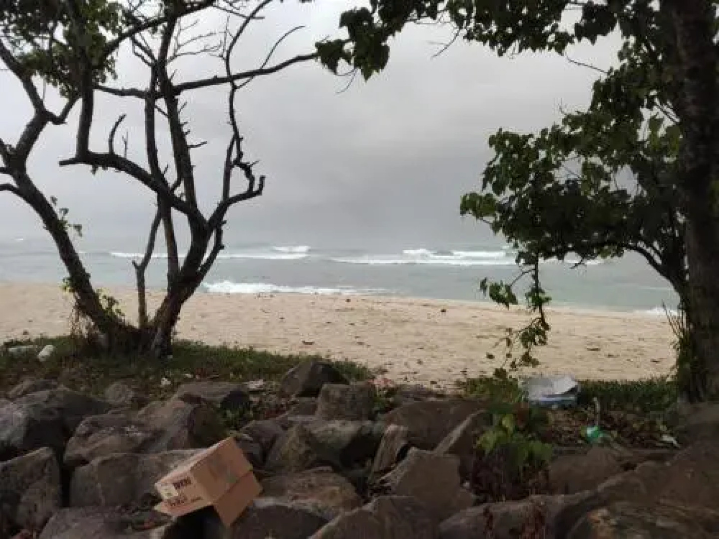 Flower Garden Guest House