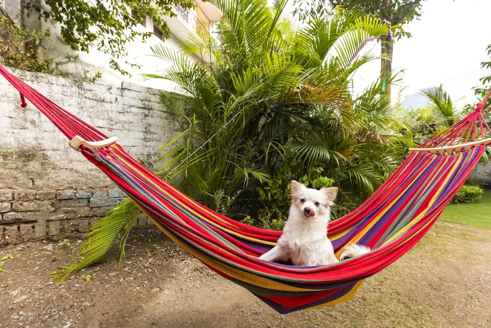 STARiHOTELS Rishikesh