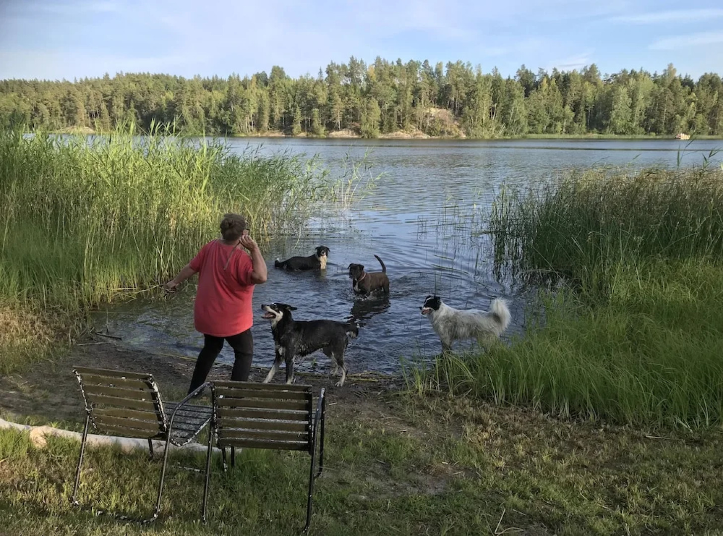 Sparrens Bed and Breakfast