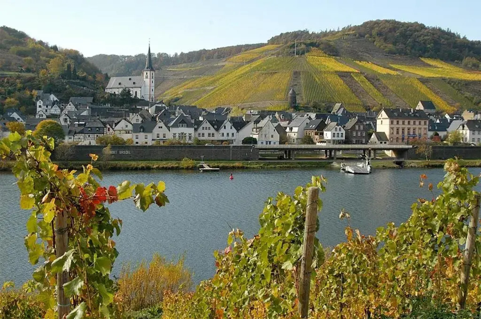 Weingut Rosenbaum
