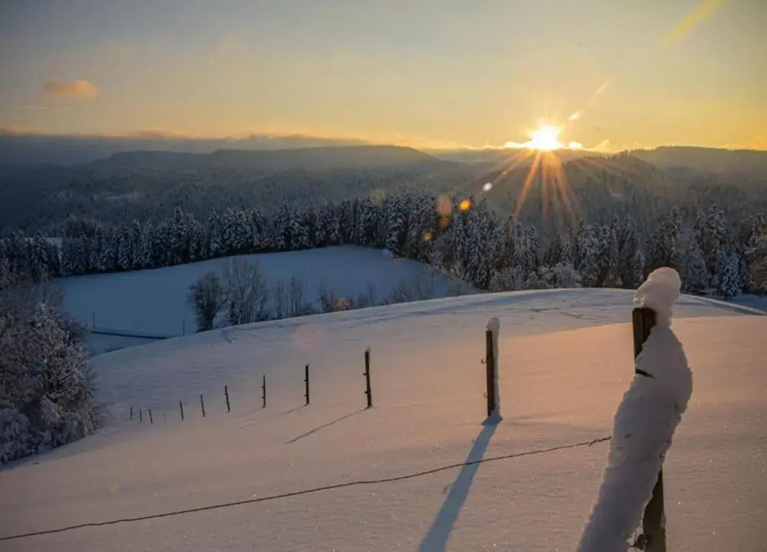 Cosy Farmhouse Apartment at the Edge of the Forest