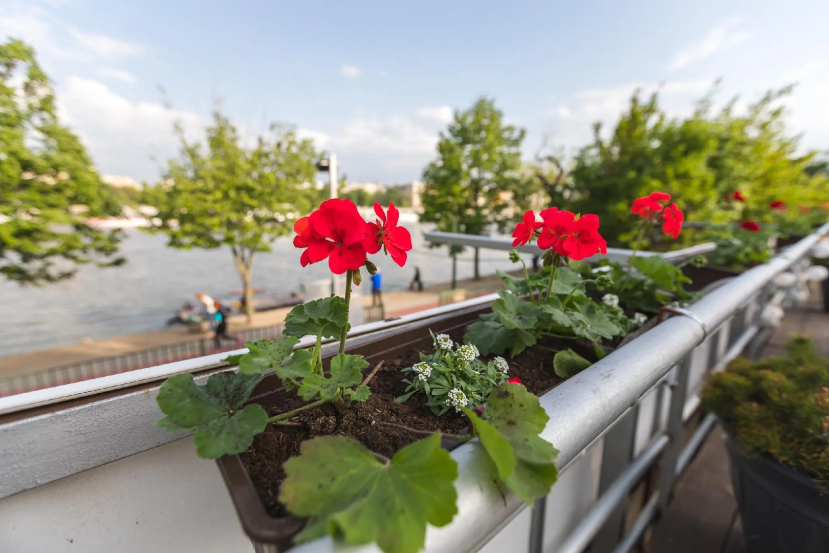 Island Hostel - Adults only