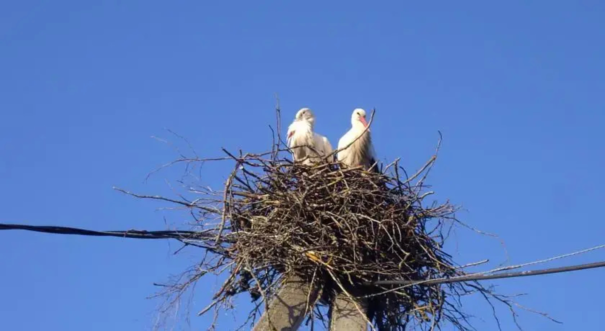 Kassiaru Holiday House