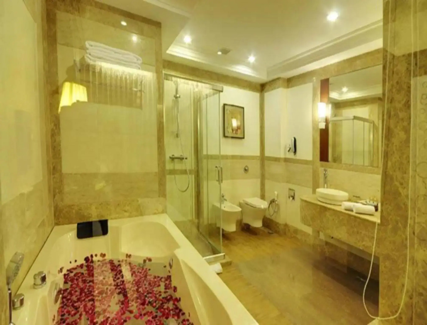 Hotel Kailash International