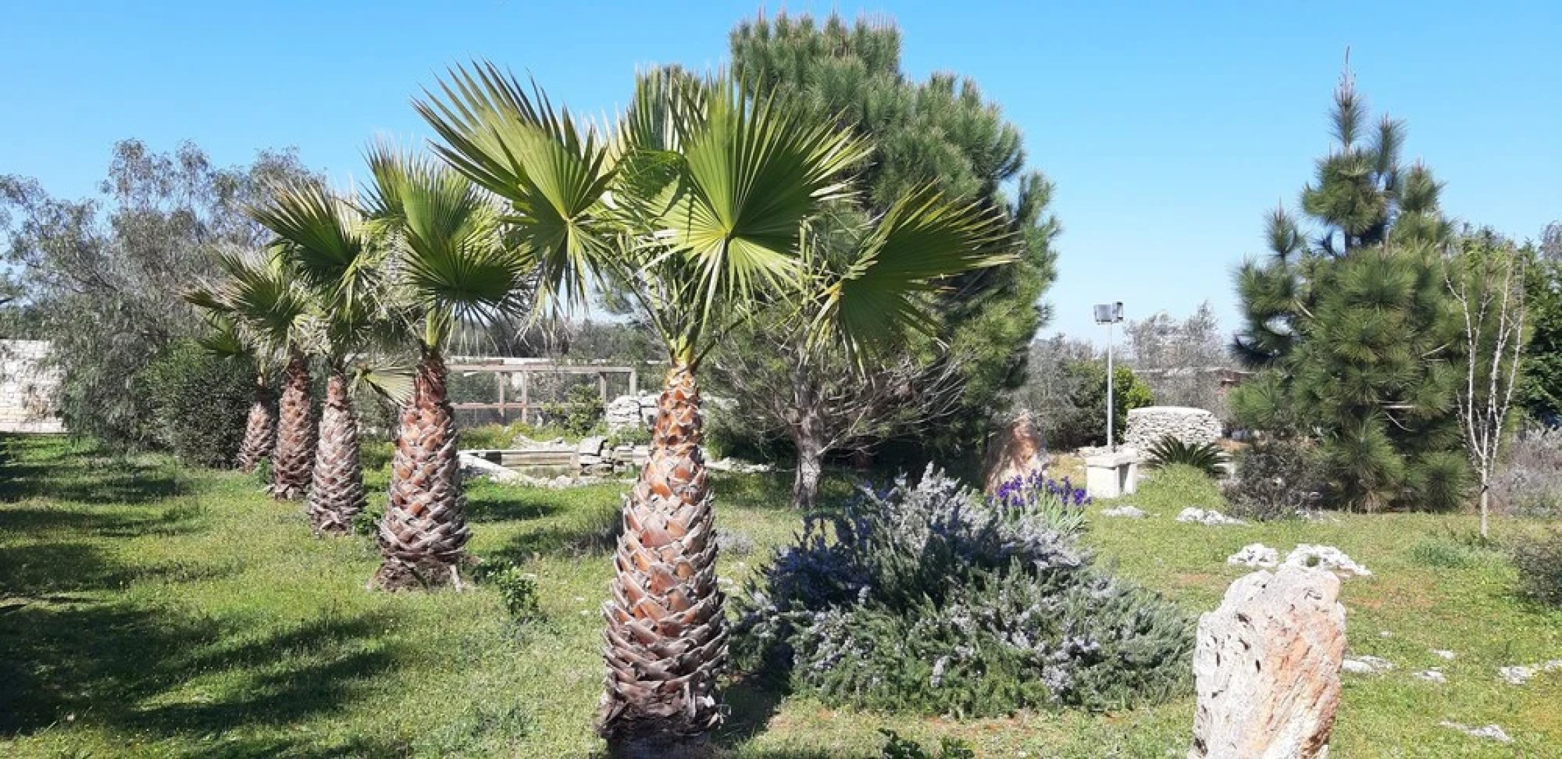 Agriturismo Casale Contenti