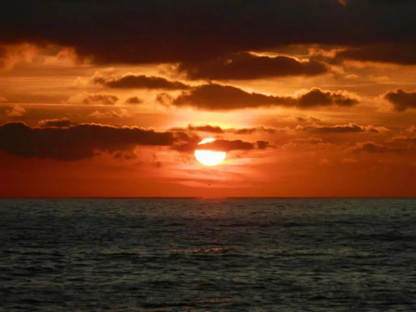 La Polena Camere Vernazza - Suite vista mare