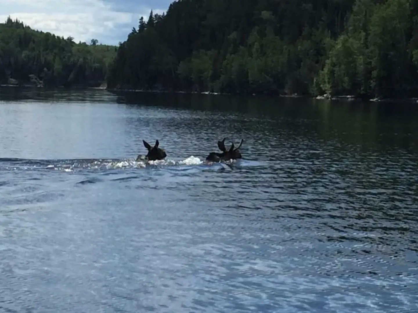 Air-Dale Fishing and Hunting