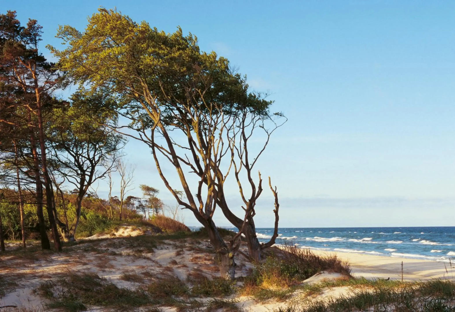 Hafenstr_ 41 A Haus Marienlinde