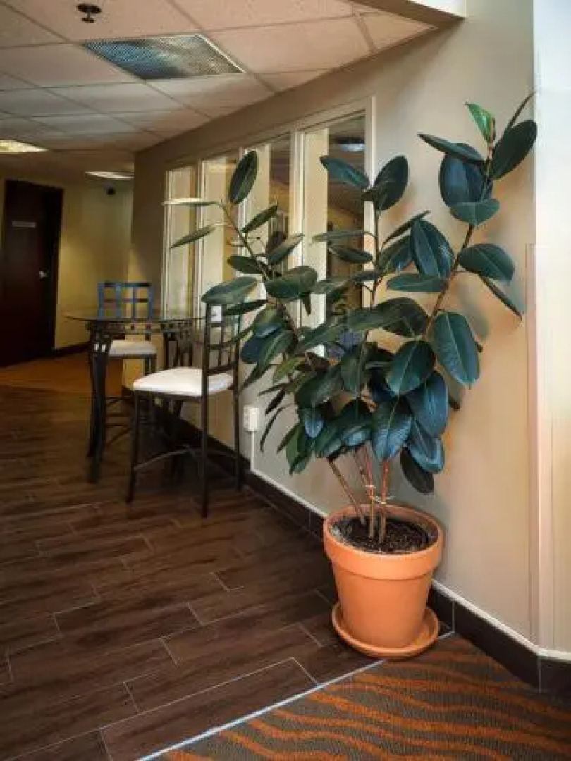 The Garibaldi House Inn & Suites