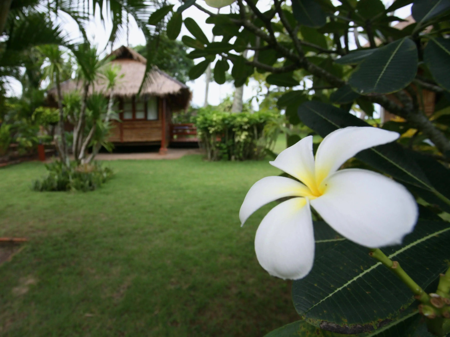 Suan Bankrut Beach Resort