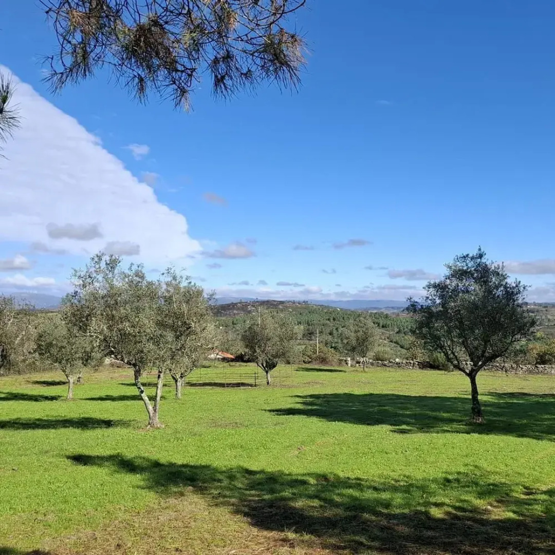 Rustic Terrace2 Bedrooms Farm House