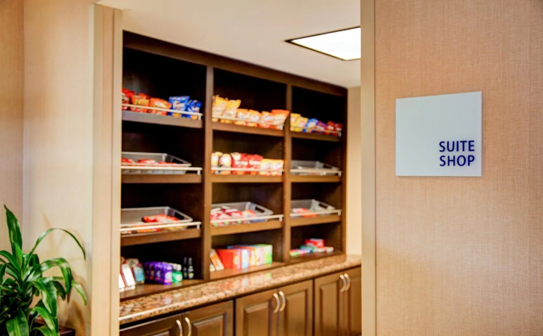 Holiday Inn Express Suites South - Tyler by IHG