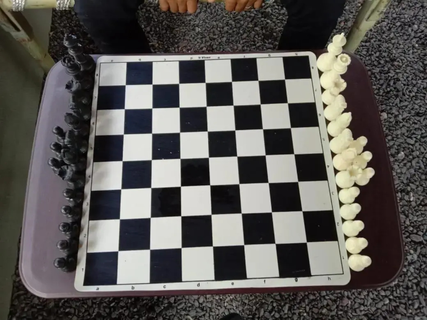 Lion Signature Family Resort