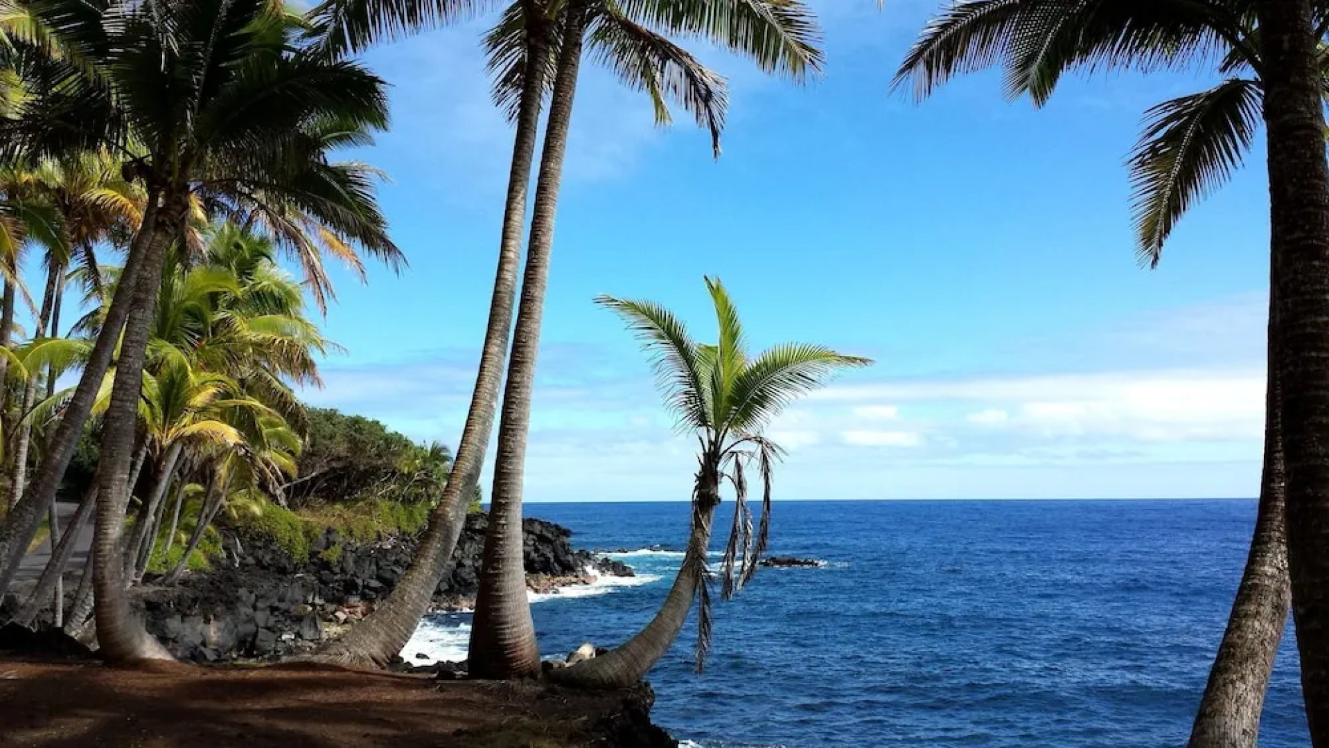 Hale O'hia Lehua 3 Bedroom Home by RedAwning