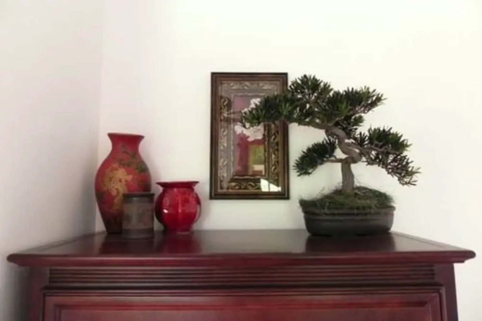 The Dragonfly Bed and Breakfast