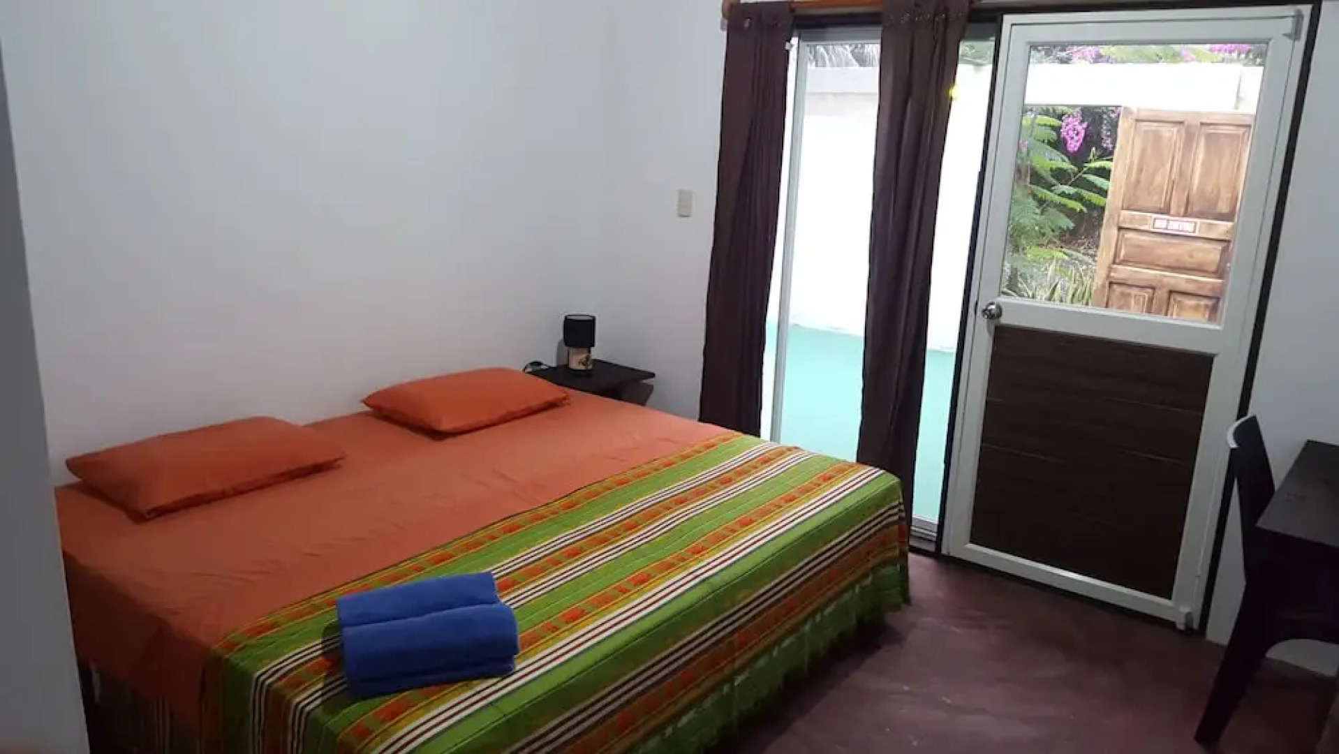 Galapagos Morning Glory